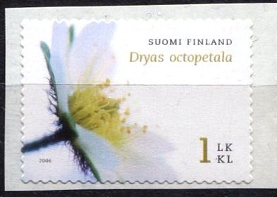 (2006) MiNr. 1819 ** - Finsko - kuklík