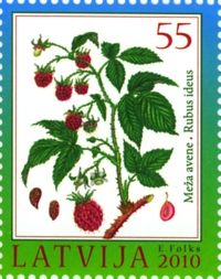 (2010) MiNr. 792 ** - Lotyšsko - Malina (Rubus idaeus)