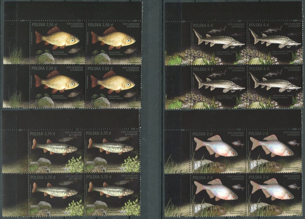(2016) MiNr. 4861 - 4864 ** - 4 x 2 + 2,5 + 3,7 + 6 Zl - Polsko - 4-bl - Ohrožené druhy ryb