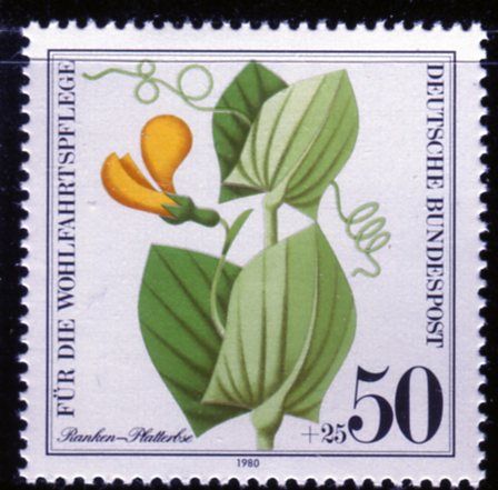 (1980) MiNr. 1060 ** - Německo - Ohrožené polní byliny