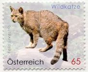 (2010) č. 2849 ** - Rakousko - Divoká kočka