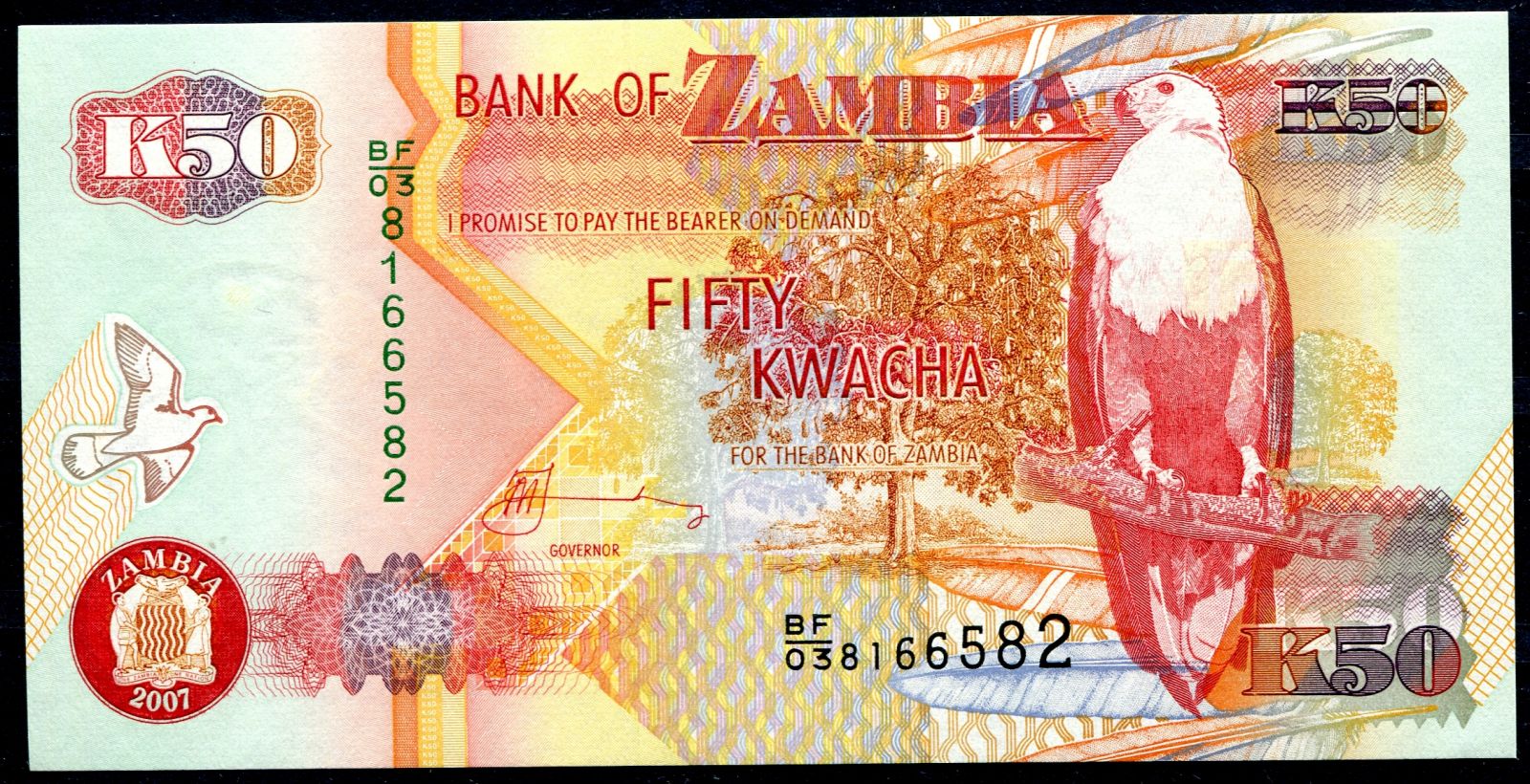 Zambie - (P 37f) 50 Kwacha (2007) - UNC