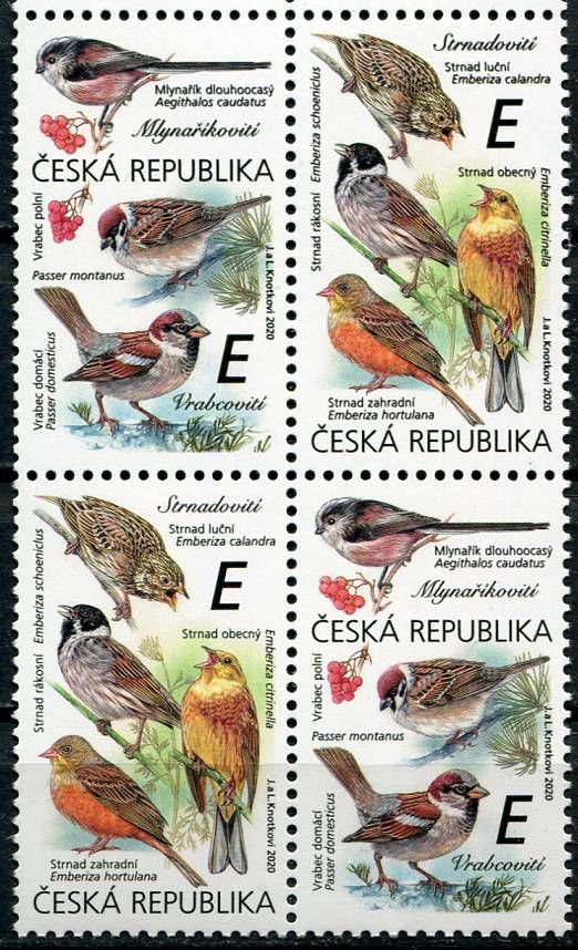 (2020) č. 1083 - 1084 **, 4-bl (2) - Česká republika - Zpěvní ptáci (III.) "E" | www.tgw.cz