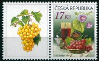 (2008) č. 545 **, K1L - Česká republika - Zátiší s vínem