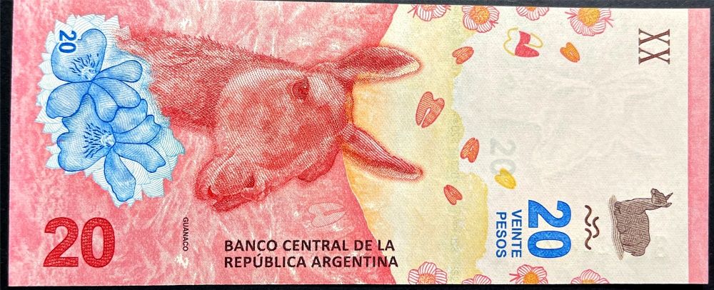 Argentina (P 361b) - 20 Pesos (2019) - UNC