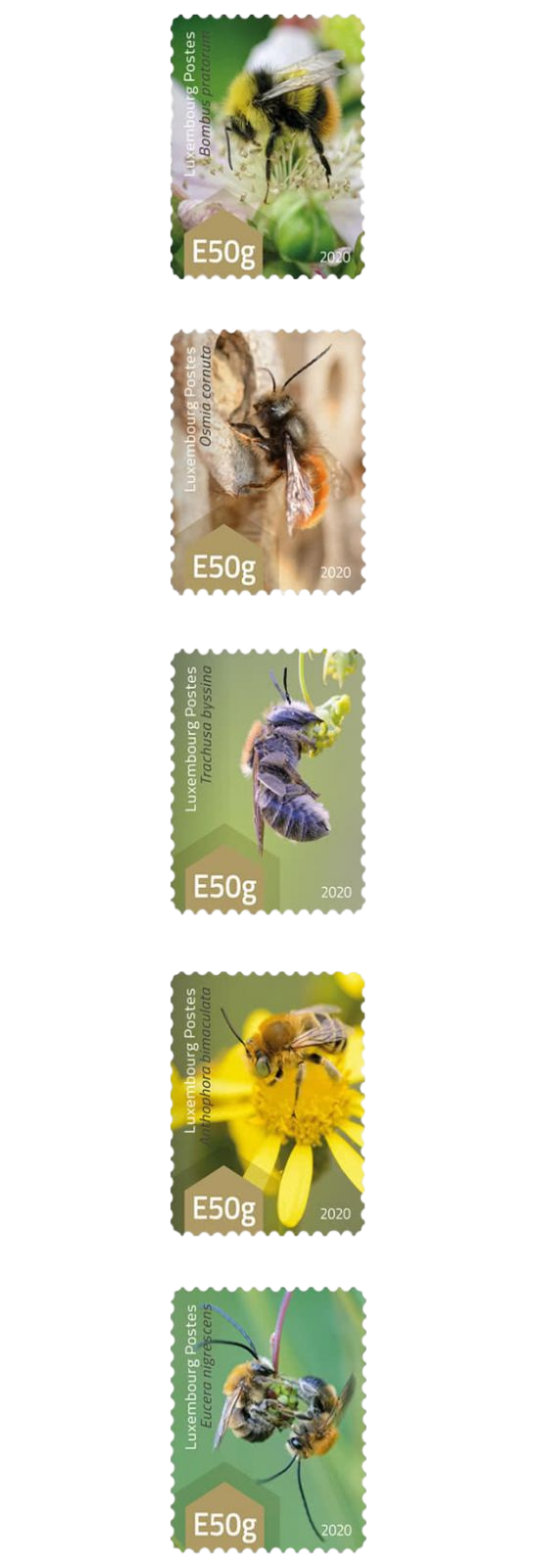 (2020) MiNr. 2252 - 2256 ** - Lucembursko - Divoké včely