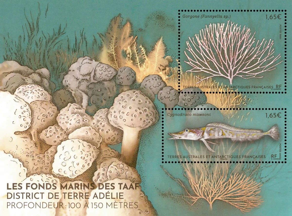(2023) MiNr. ** - Francouzská Antarktida - Block - Mořské dno