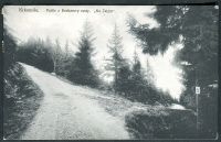 Krkonoše - Partie z Bucharovy cesty ("Na Žalým") 1913/14